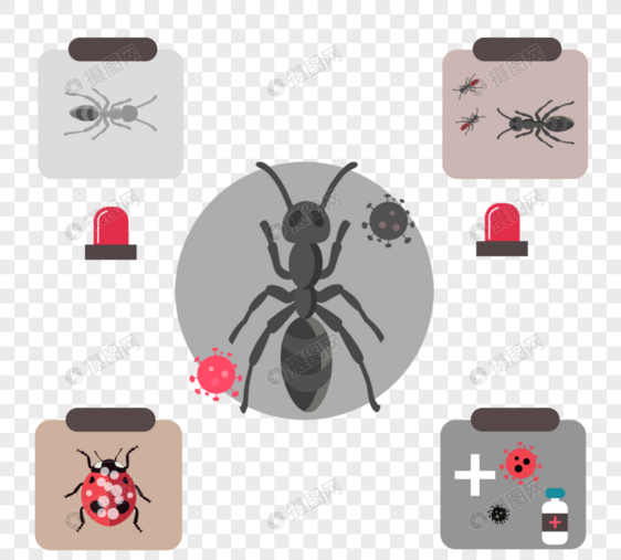 手绘蚂蚁动物预防感染图图片