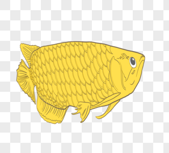 金色卡通手绘鲤鱼创意图片