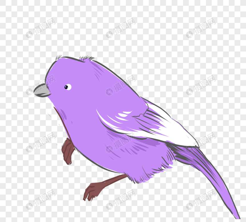 紫色卡通生动可爱手绘小鸟元素素材下载 正版素材 摄图网