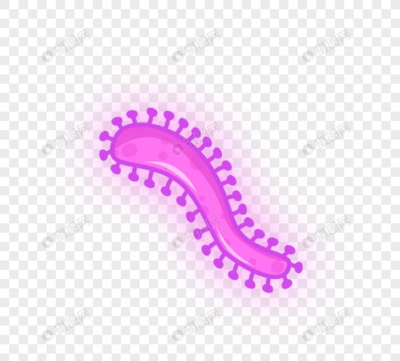 紫色条状病毒病菌图片