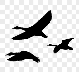 大雁简笔画图片