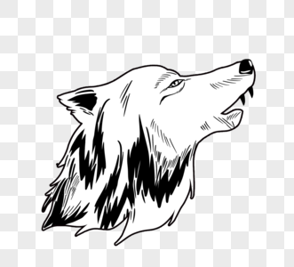 狼狗福克斯图片