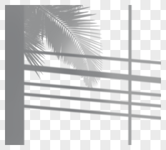 办公楼窗户外棕榈剪影图片