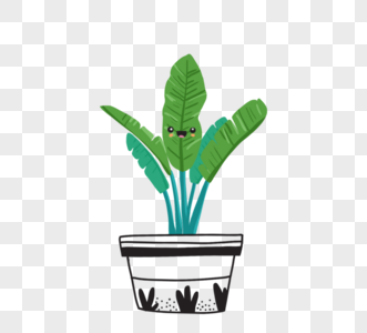 可爱卡通绿色植物黑色盆栽图片