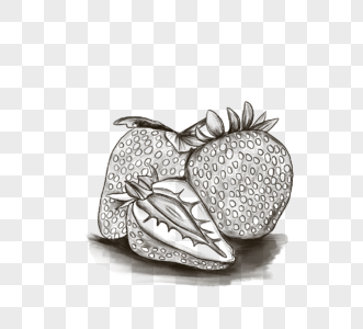 季节性水果草莓线描图片