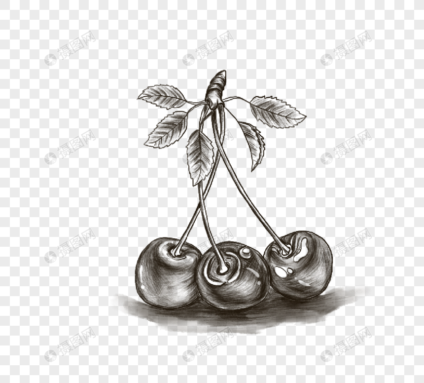 季节性水果车厘子线描元素素材下载 正版素材 摄图网 季节性水果车厘子线描元素素材下载 正版素材 摄图网