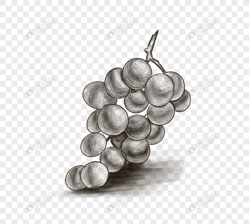季节性水果葡萄线描图片
