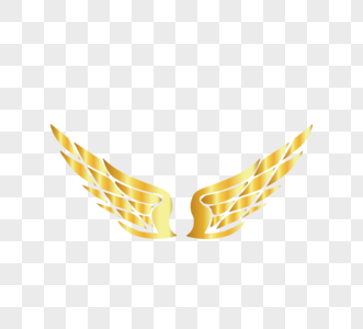 金色金属飞行翅膀图片
