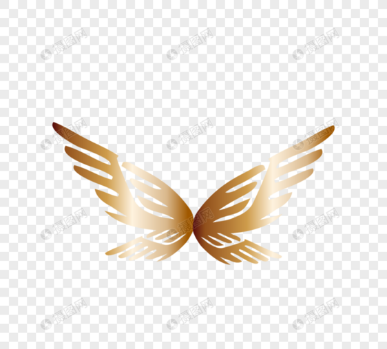 金属彩色精灵翅膀图片