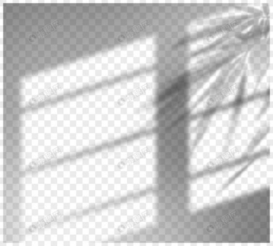 创意手绘阳光照射窗户植物投影图片