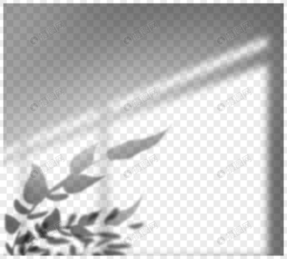 创意手绘阳光照射窗户植物投影图片