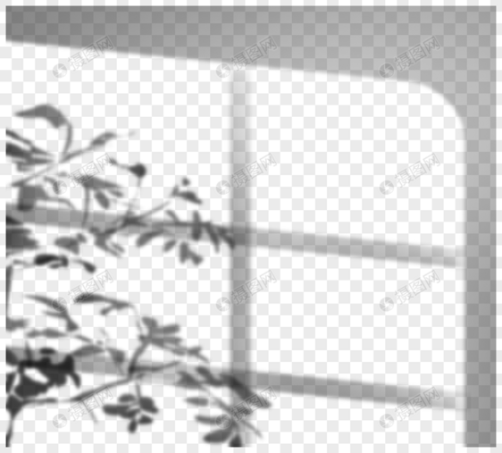 创意手绘阳光照射窗户树叶投影图片