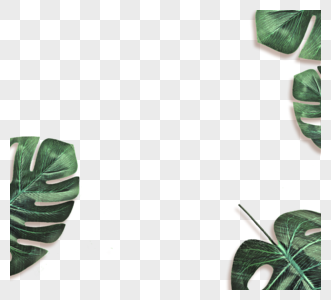 绿色植物叶子元素图片