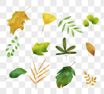 手绘水彩植物叶子元素图片