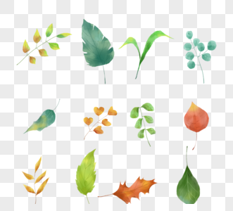 水彩自然绿色树叶元素图片
