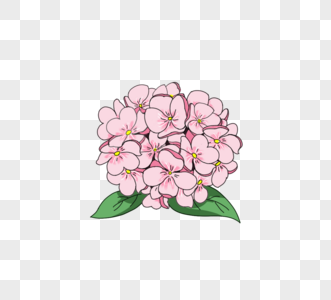 绣球花手绘图片