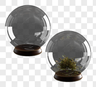 透明工艺植物玻璃球图片