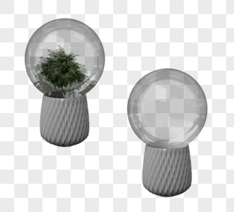 植物装饰玻璃球图片