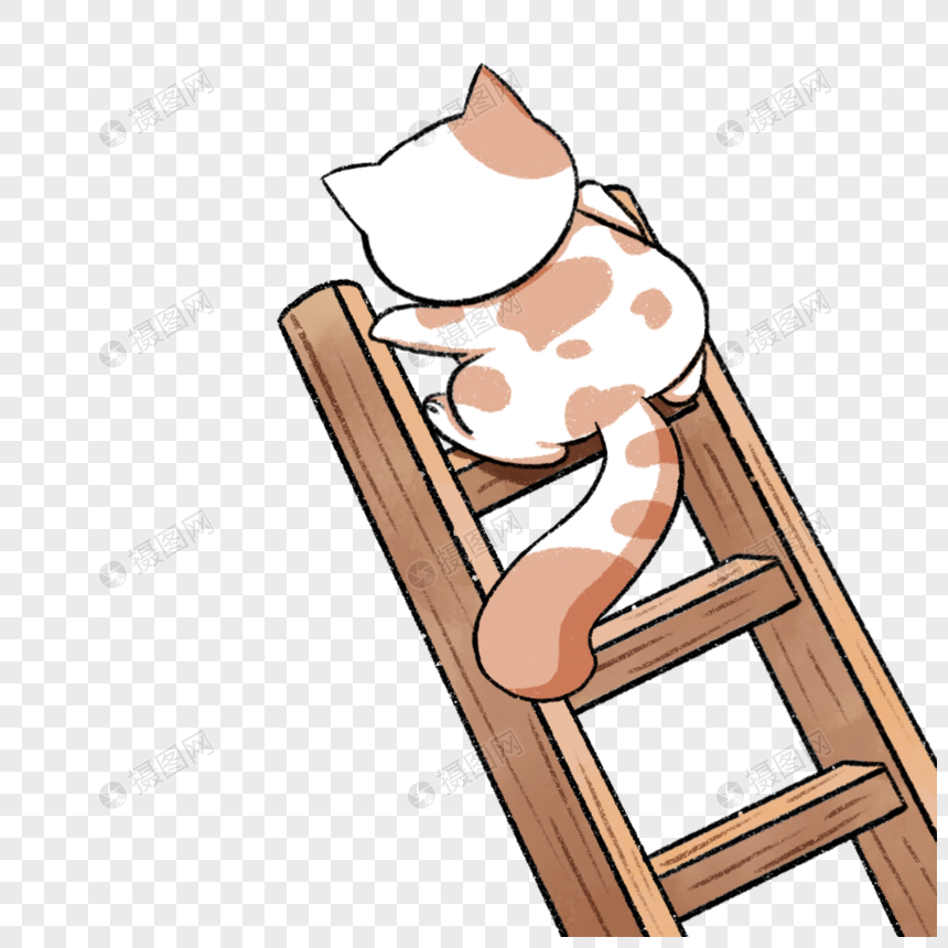 爬梯子的小猫