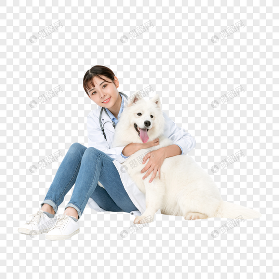 宠物医生抱着萨摩耶图片