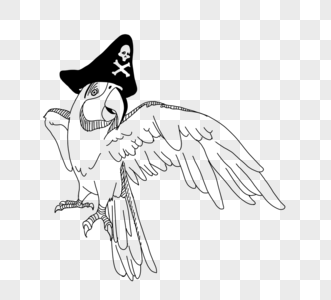 ﻿创意海盗鹦鹉图片