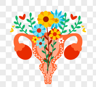 花朵手绘女性生殖系统花卉元素图片