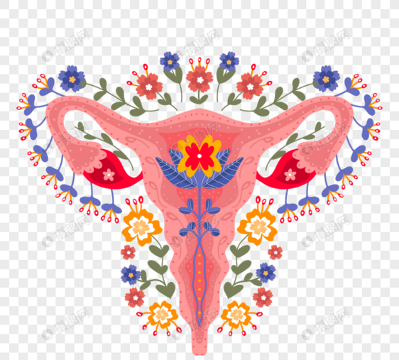 卡通手绘女性科学生物学生殖器官图片