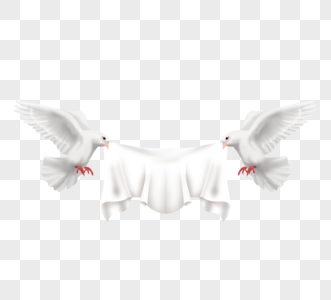 两只展翅和平鸽和白色横幅图片