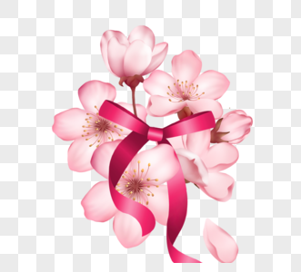 一束丝带系着粉色樱花图片