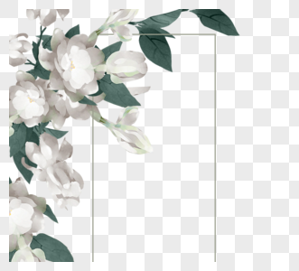 白色茉莉花线条边框图片
