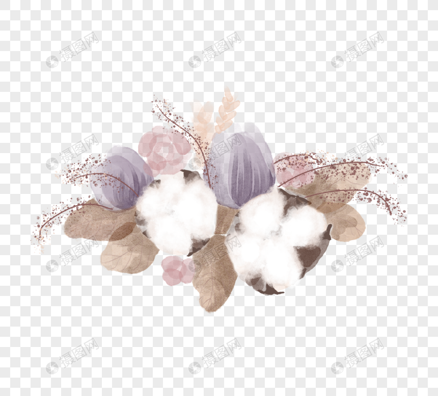水彩棉花花卉图片