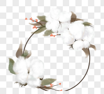 水彩棉花植物花环图片