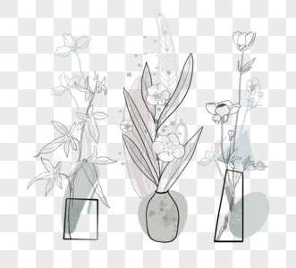 植物莫兰迪色元素高清图片