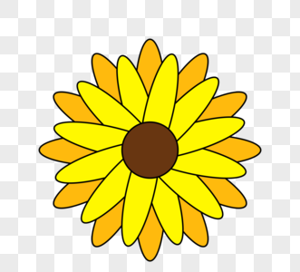 黄色花朵向日葵图片