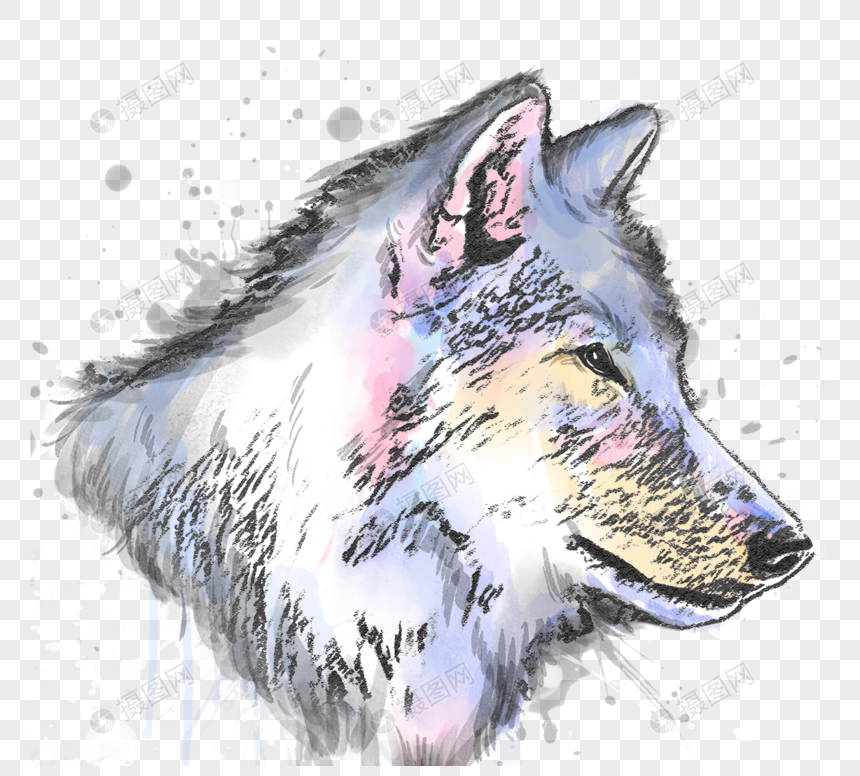 彩色狼头像手绘水彩素描元素图片