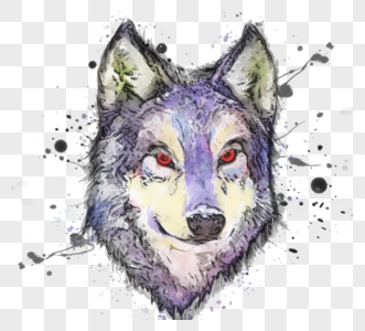 野狼头像手绘水彩素描元素图片