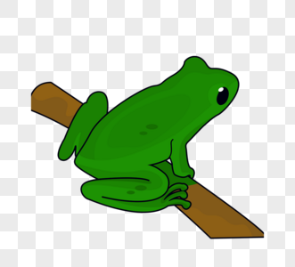 绿色树枝青蛙元素图片