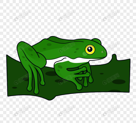 绿色青蛙树枝元素图片