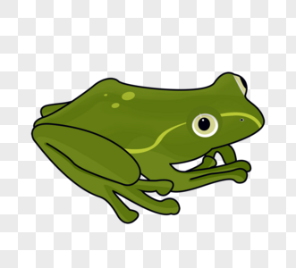 牛蛙png图片