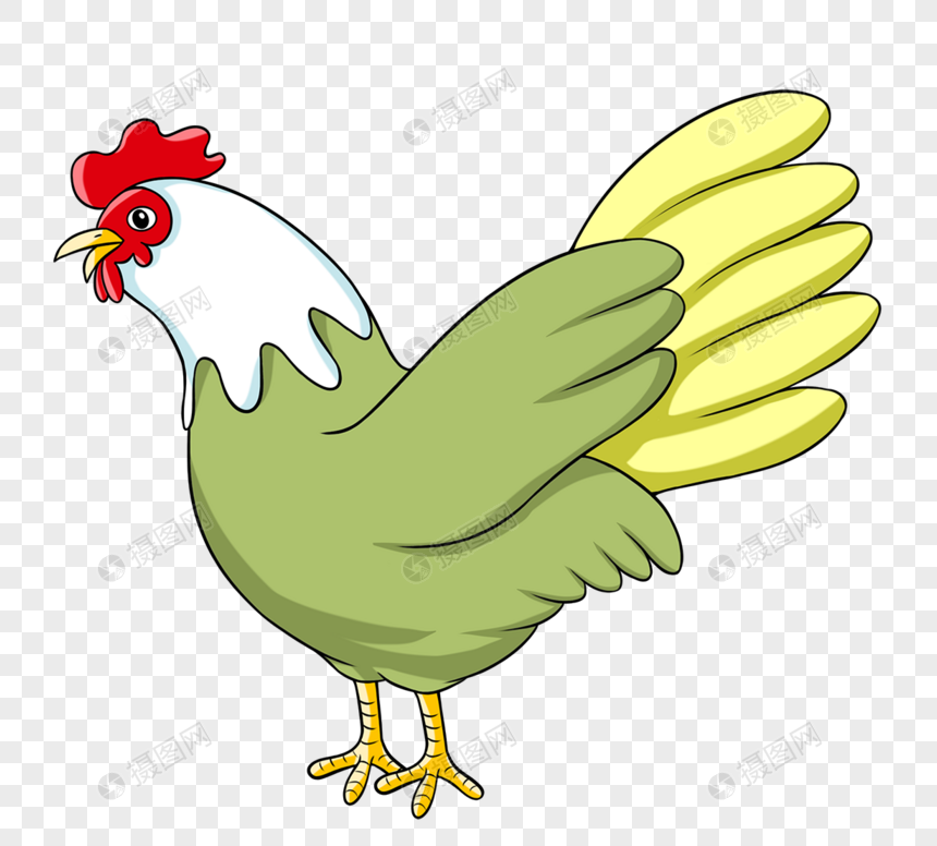鸡彩色绿色图片