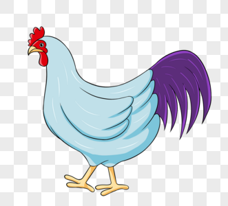 鸡紫色公鸡红色蓝色黄色紫色图片