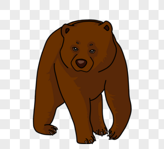 熊bear图片