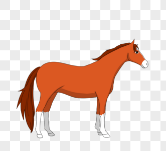 高清骏马素材图片
