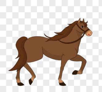 棕色马图片素材