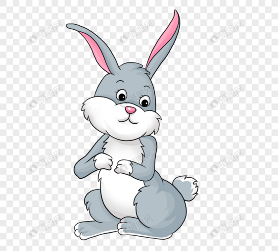灰色兔子图片