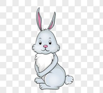 灰白色兔子图片