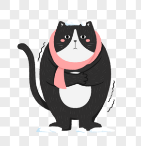冬季动物寒冷围巾猫咪图片