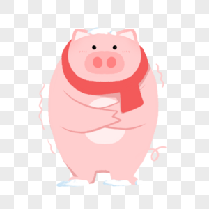 冬季动物寒冷围巾猪猪图片