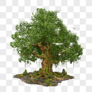 绿色环保植树节树参天大树植物鸟绿意3D模型图片