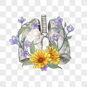 肺和花卉图片